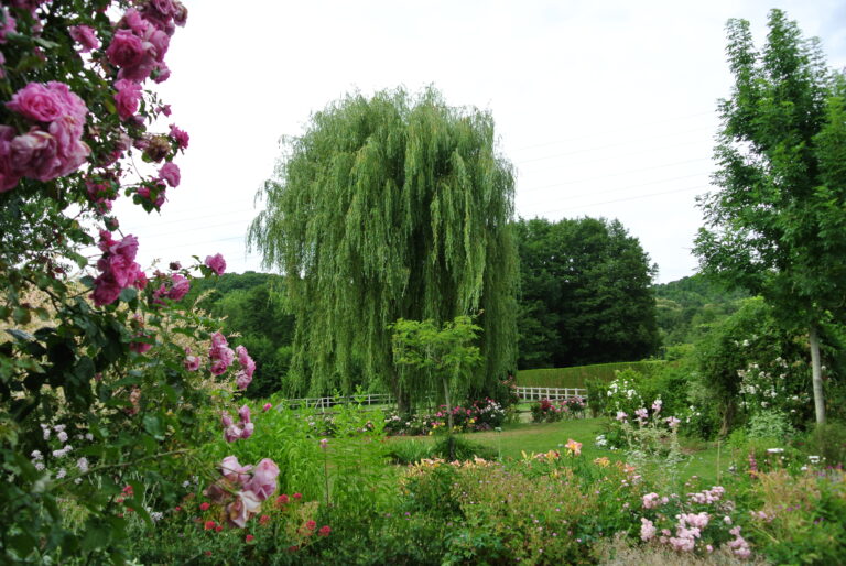 Le jardin de Juliette à Elancourt